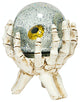All Seeing Eye Of The Skeleton Water Globe