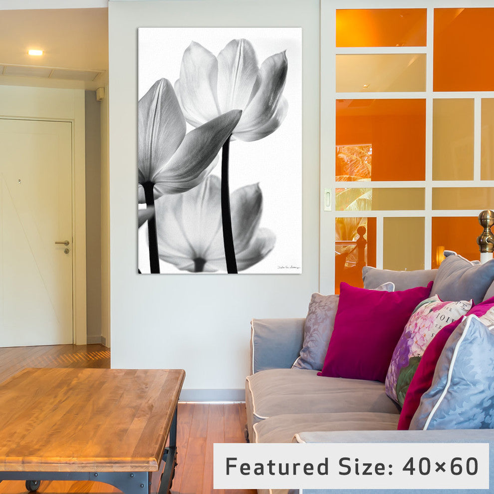 "Translucent Tulips III" by Debra von Swearingen, 26x18x1.5