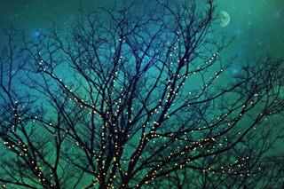 "Magical Night" Painting Print on Wrapped Canvas, 18x12