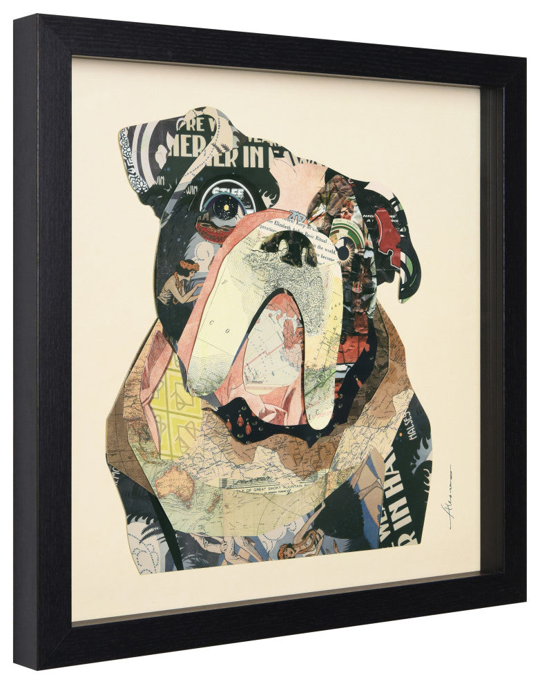 Bulldogs Close Up Dimensional Collage Wall Art Framed Under Glass