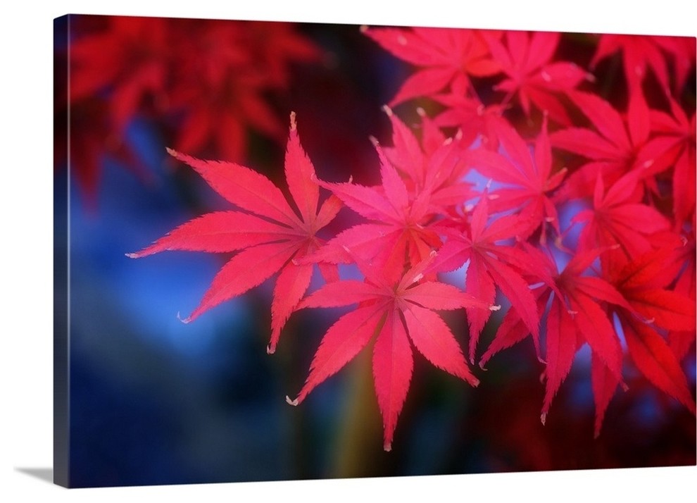 "Before The Winter" Wrapped Canvas Art Print, 36"x24"x1.5"