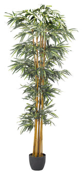 7' Bamboo Tree