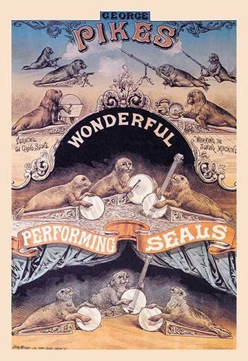Pikes Wonderful Performing Seals - Fine Art Giclee Print 24" x 36"