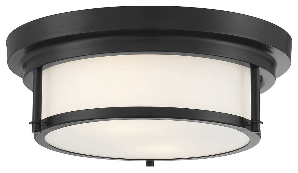 2-Light Ceiling Light, Matte Black