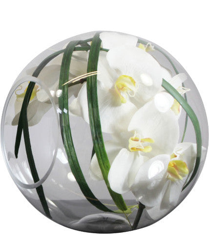 Crosswinds Vase with white Phalaenopsis orchids, 10"x9"