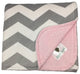 Baby Jade Gray Chevron and Baby Pink Minky Blanket