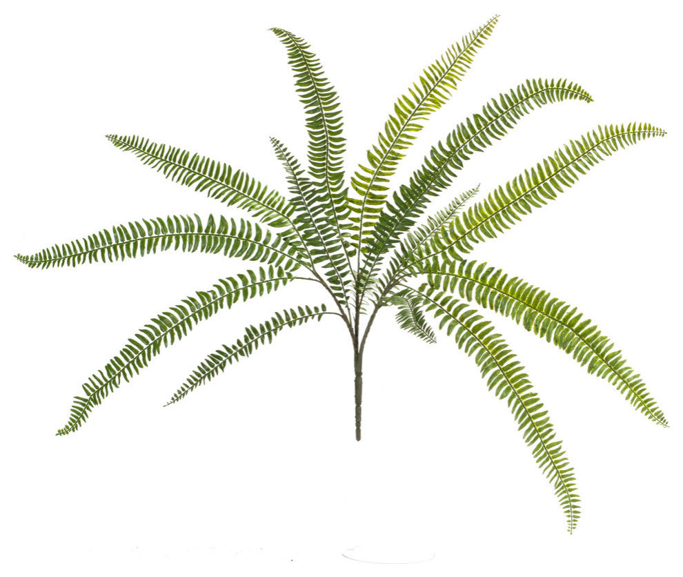 Fern Bush, 6-Piece Set