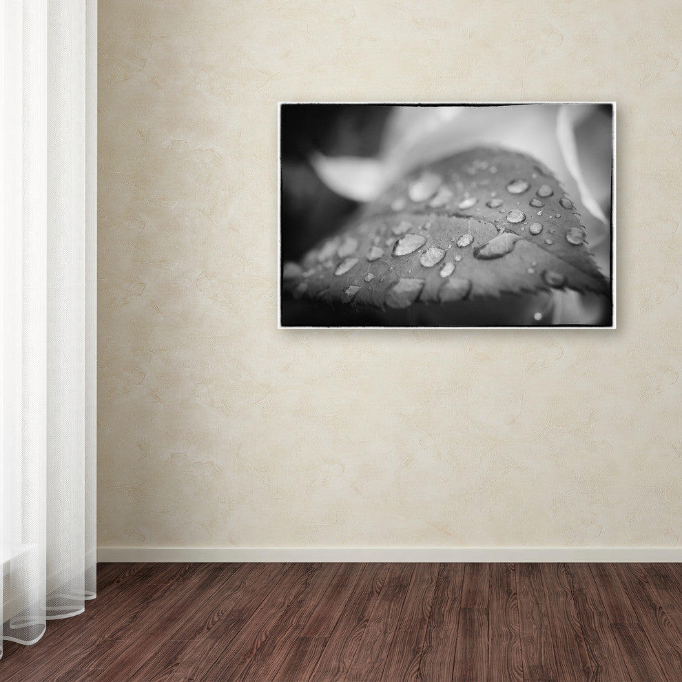 PIPA Fine Art ''Dew on Leaf of Rose Plant'' Canvas Art, 32x22