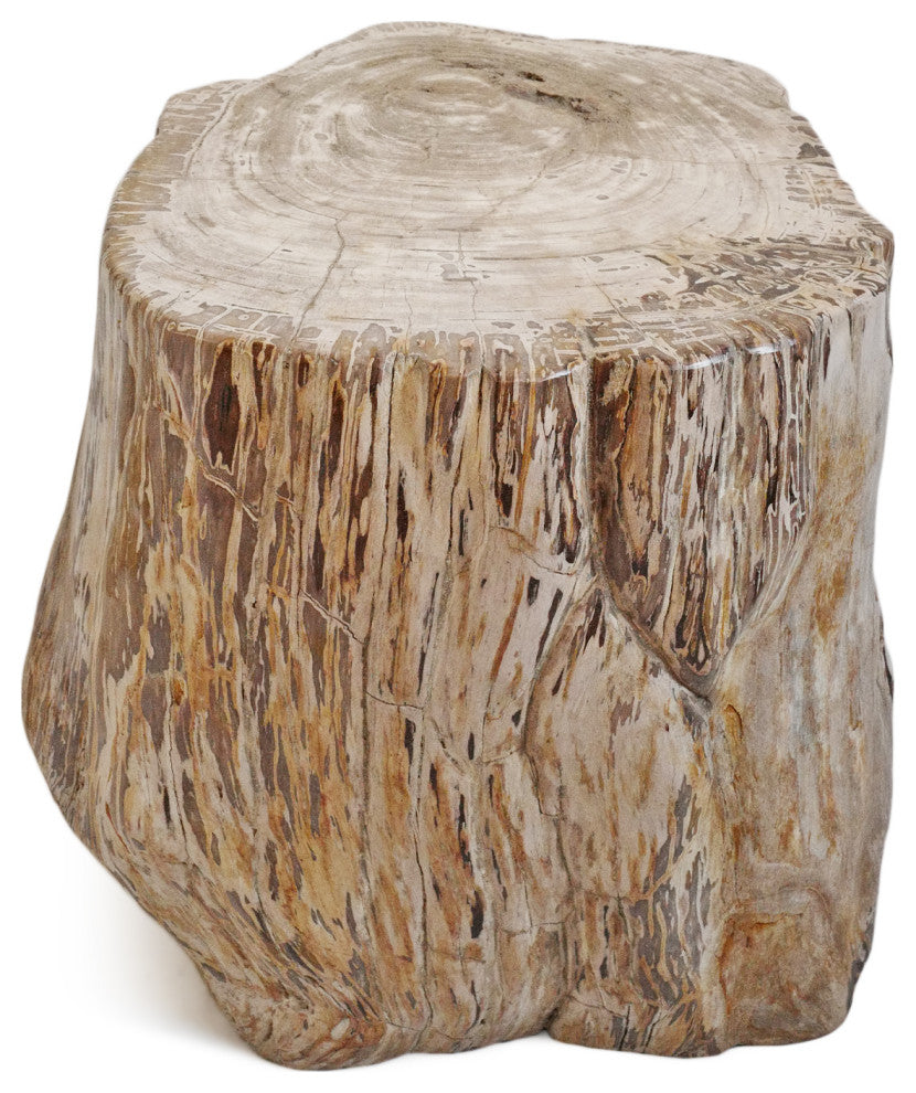 Rustic Petrified Wood Stump Stool Table