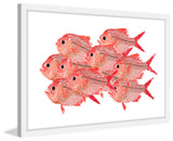 "Golden Snapper" Framed Painting Print, 30"x20"