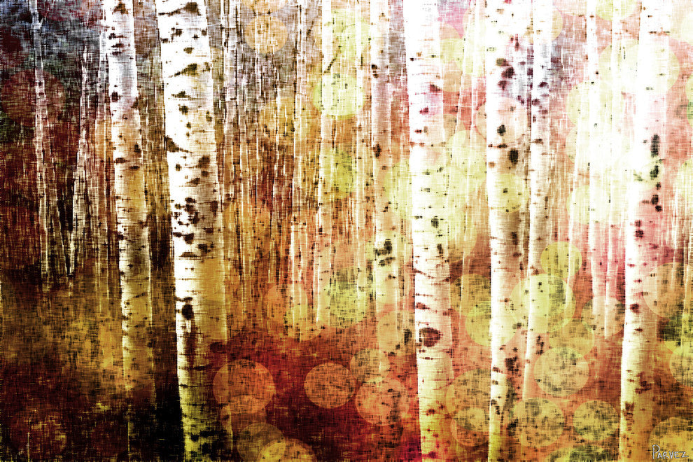 "Aspen " Fine Art Canvas Print, 24"x16"