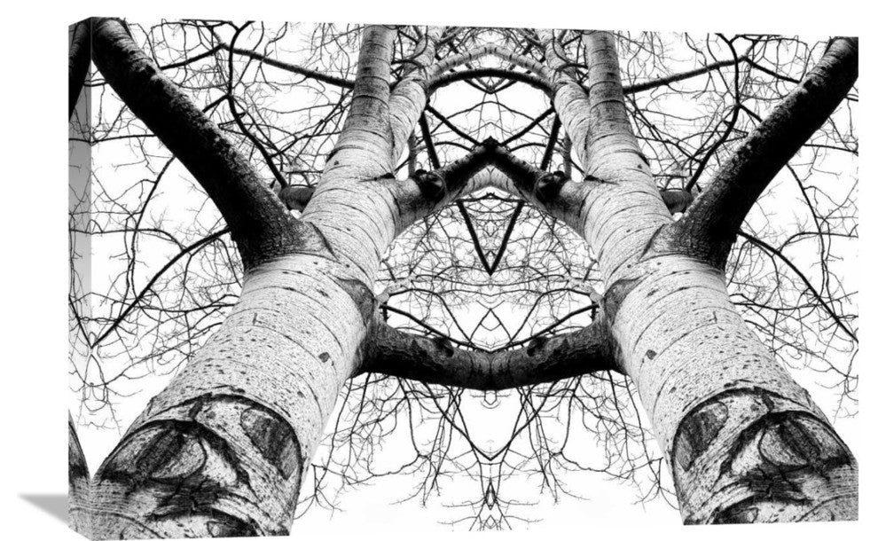 "Aspen Cathedral" Stretched Canvas Giclee by James K. Papp, 30"x20"