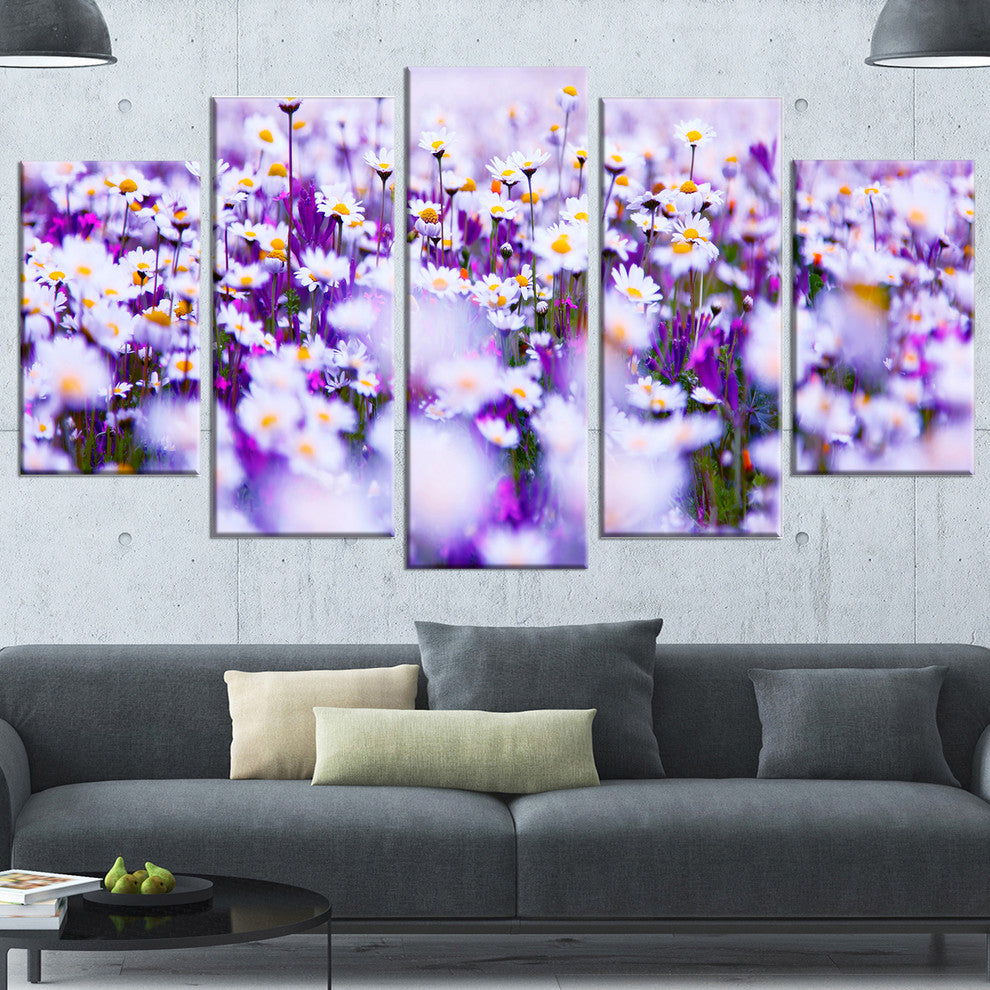 Daisy Field Photography Panorama, Large Floral Canvas Print, 60"x32", 5 Panels