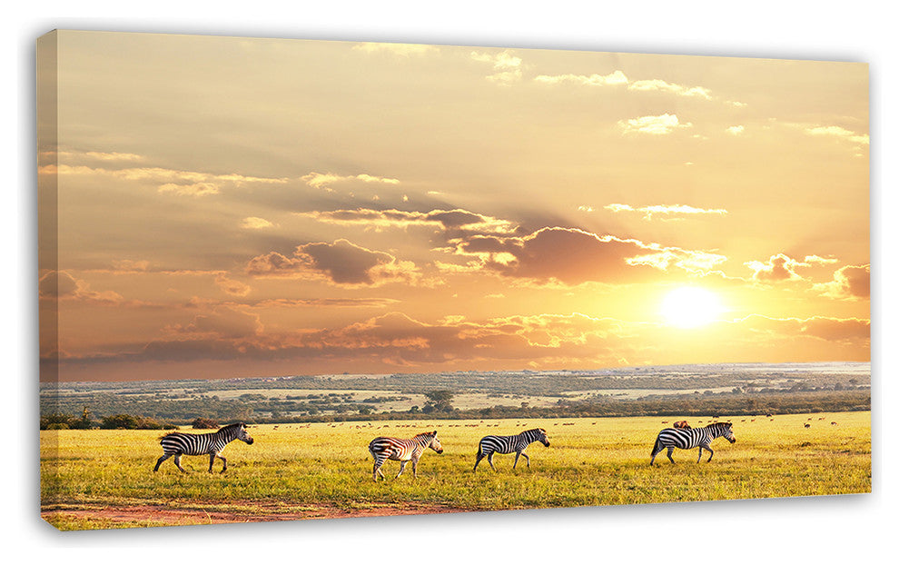 Zebras Wandering in African Prairie, Oversized Landscape Canvas Art, 32"x16"