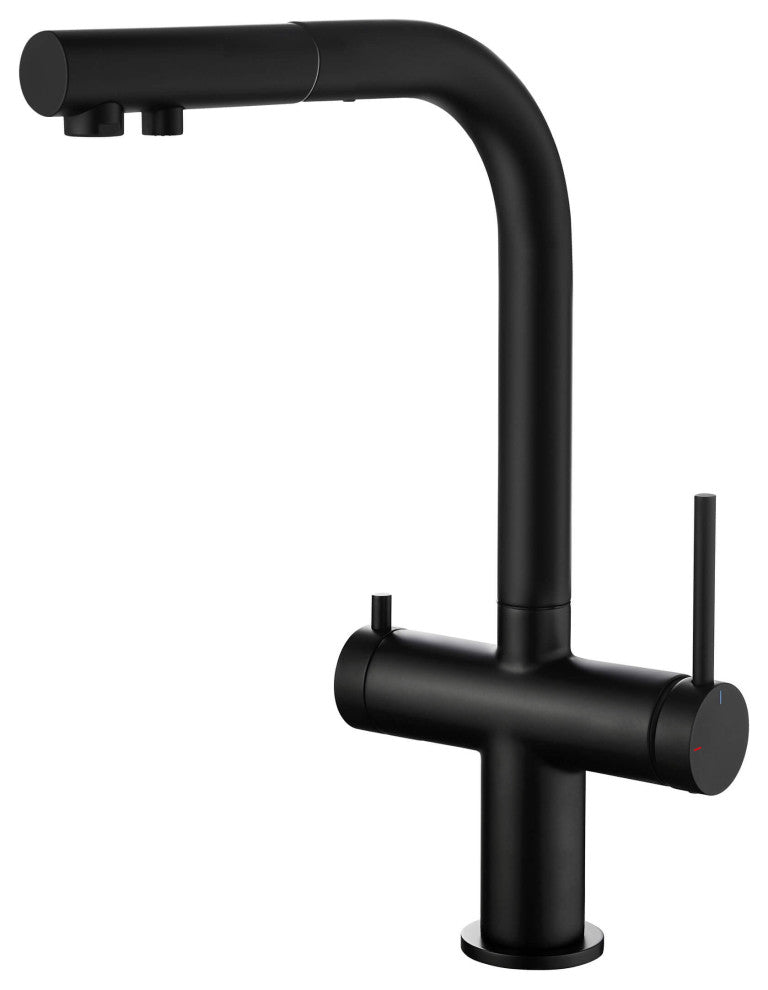 Circular 2-in-1 Water Filter Kitchen Pull Out Faucet, Matte Black