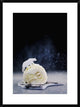 "Polar Bear (Powdered Sugar)" Framed Digital Print by Dina Belenko, 24x32"