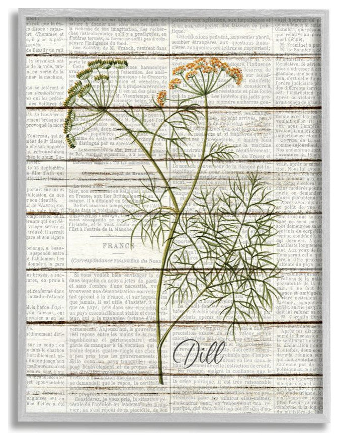 Dill Vintage Herb Kitchen Dining Room Word Collage , 16"x20"