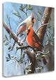 "Cardinal" By Kevin Daniel, Giclee Print on Gallery Wrap Canvas, Ready to Hang