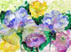 Betsy Drake Watercolor Garden Outdoor Wall Hanging 24x30