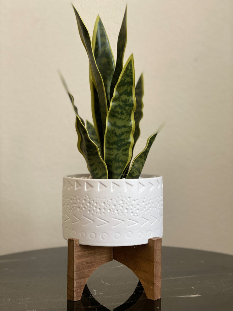 5" Caveman Ceramic Planter On Wood Stand, Ivory