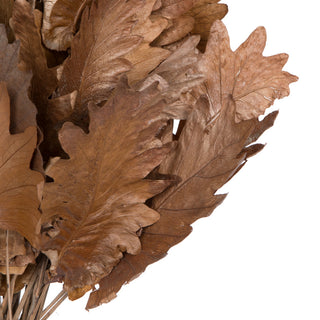 Vickerman 20" Oak Leaf, Natural on Natural Ting Ting, 100 pieces per Pack.