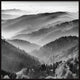 "Take the Trails" Floater Framed Painting Print on Canvas, 24x24
