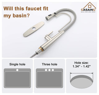 Single-Handle Spring Neck Standard Kitchen Faucet with Dual-Function, Brushed Nickel
