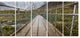 Bridge Over Hooker River in Aoraki, Bridge Canvas Art Print, 60"x28", 5 Panels