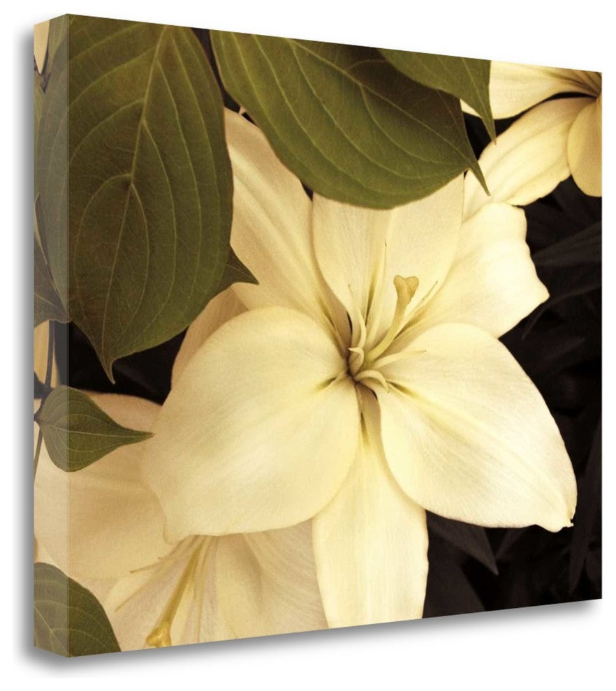 "Lily And Leaves" By Rebecca Swanson, Giclee Print on Gallery Wrap Canvas