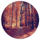 Thick Woods In Colorful Fall Forest, Forest Disc Metal Artwork, 23"