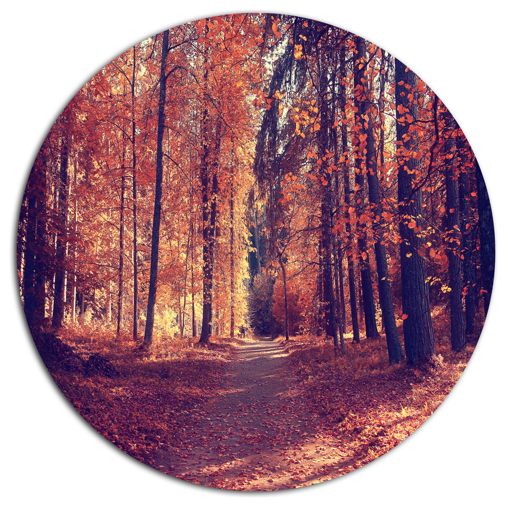 Thick Woods In Colorful Fall Forest, Forest Disc Metal Artwork, 23"