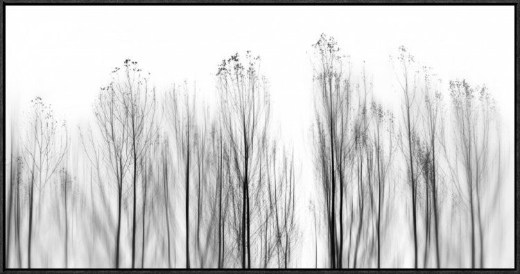 No Grounds, 36"x18"