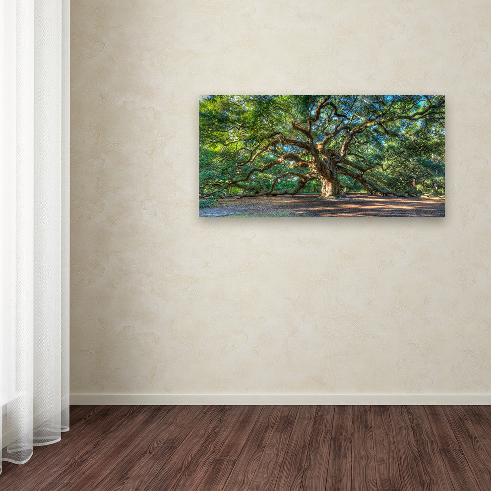 'Angel Oak, Charleston' Canvas Art by Pierre Leclerc