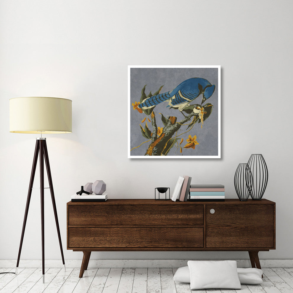 "Audubon Decor - Bluejay Detail" Digital Paper Print by BG.Studio, 38"x38"