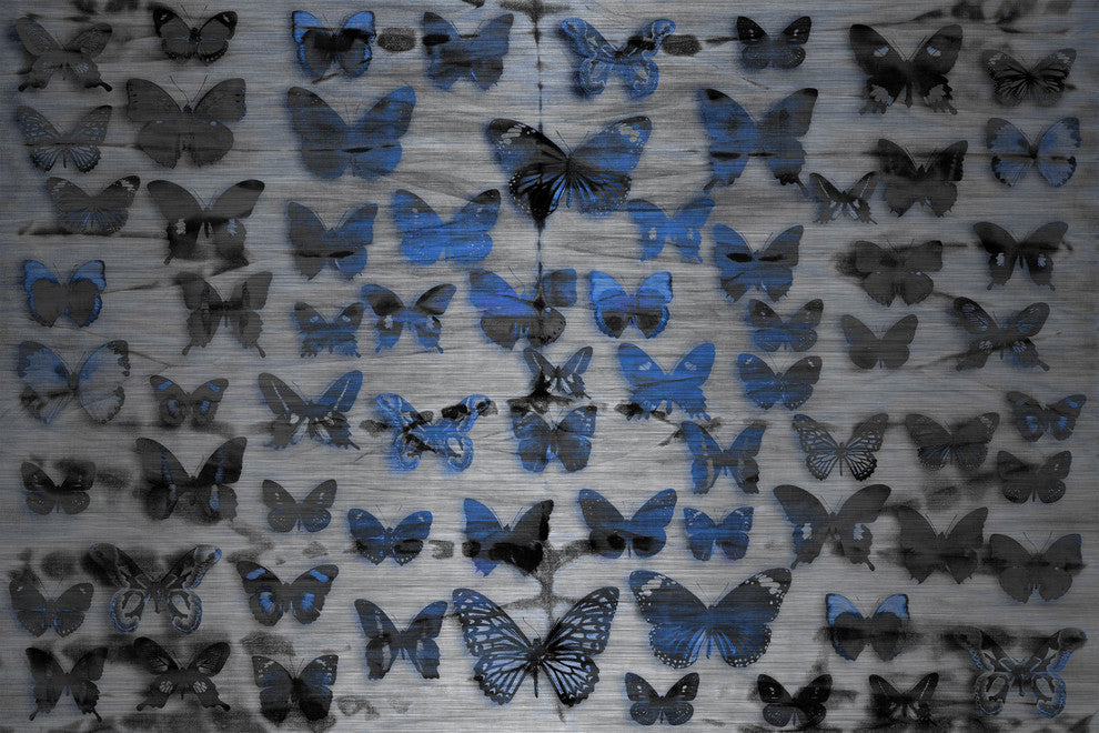 "Flutter Byes UV Ink" Print on Brushed  Aluminum, 36"x24"