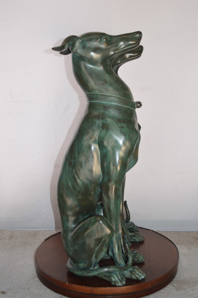 Pair of Greyhound dogs sitting Bronze Statue -  Size: 12"L x 12"W x 35"H.