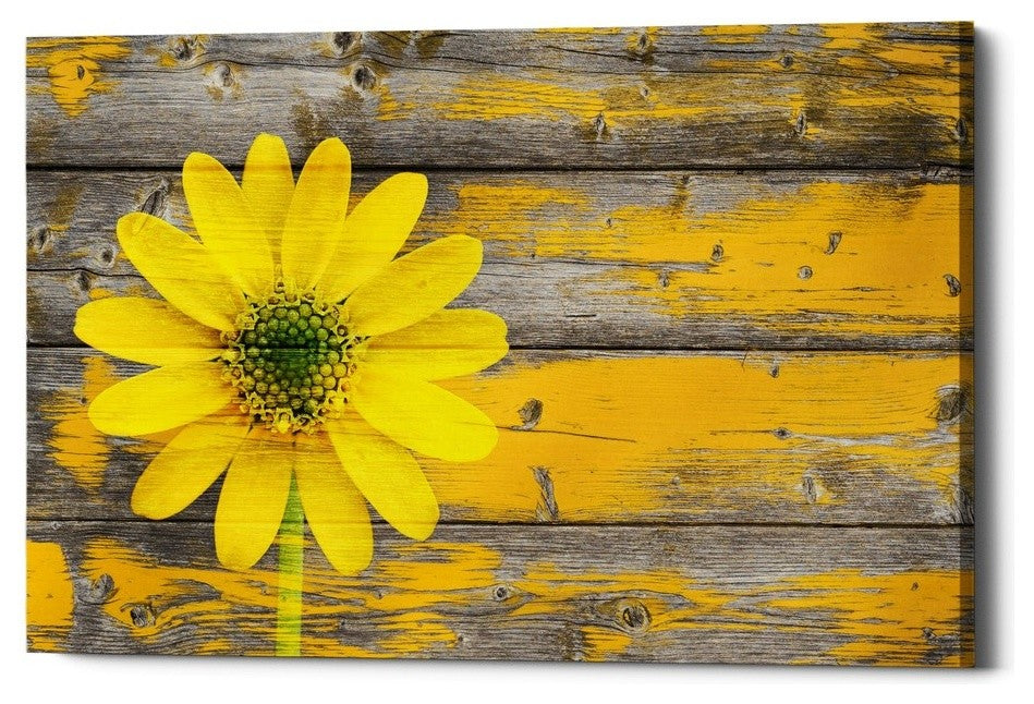Epic Graffiti "Wood Series: Rustic Daisy" Giclee Canvas Wall Art, 18"x26"