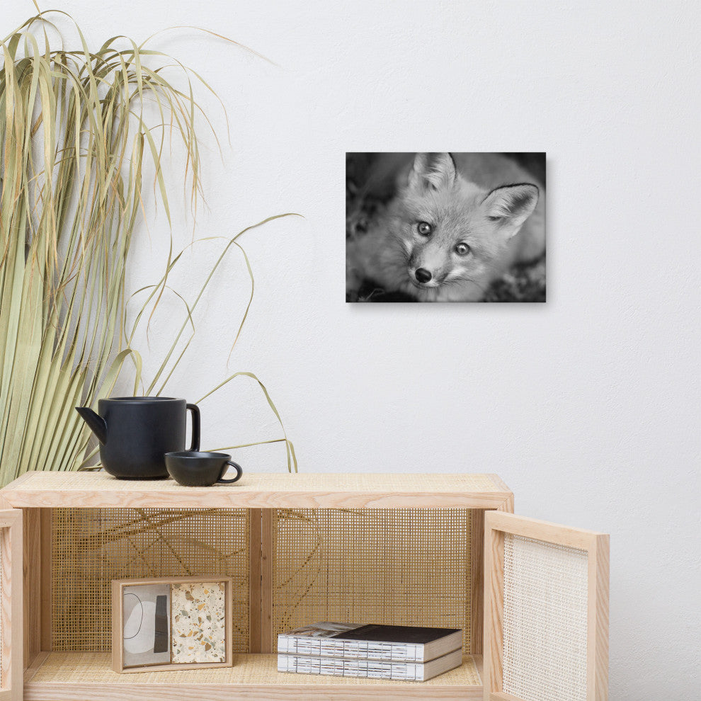 Young Red Fox Face Black and White Wildlife Photograph Canvas Wall Art Print, 12" X 16"