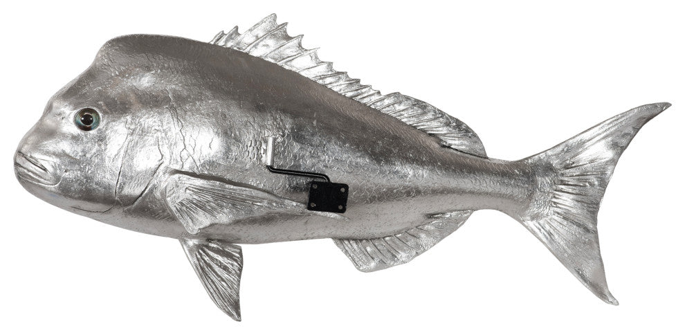 Australian Snapper Fish, Silver Leaf