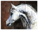 Gray Arabian Horse Watercolor, Abstract Triptych Canvas Print, 36x28, 3 Panels