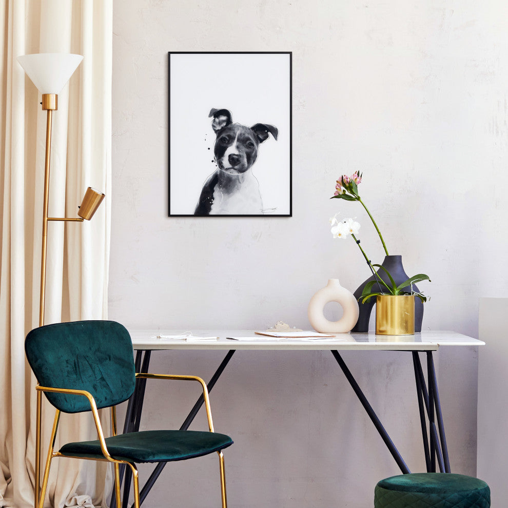 "Pitbull" Black and White Pet Art on Printed Glass Encased with Anodized Frame