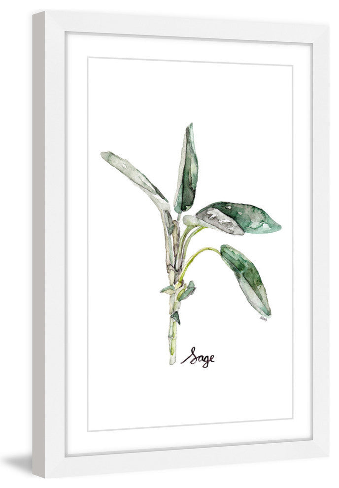 "Herb Sage" Framed Print by Rachel Byler