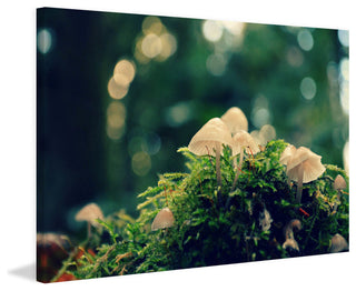 "Nonsense" Painting Print on Wrapped Canvas