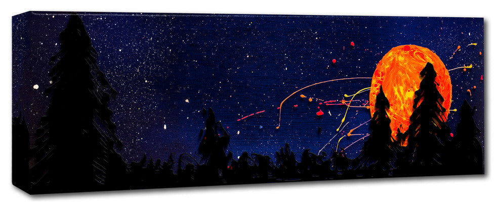 ''Washington Moonrise'' Canvas Art by Roderick Stevens