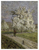 "Le Grand Poirier en Fleurs" Digital Paper Print by Emilio Boggio, 19"x24"