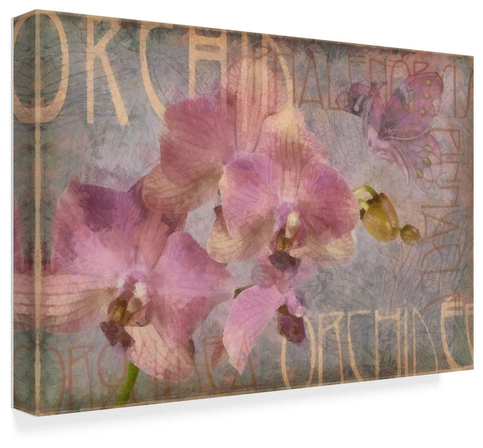 "Orchid I" by Cora Niele, Canvas Art, 30"x47"