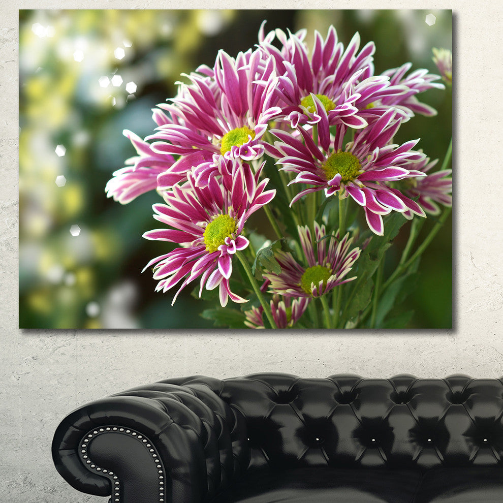 Purple Chrysanthemum Flower, Large Floral Canvas Art Print, 60x40