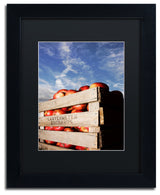 Jason Shaffer 'Orchard' Matted Framed Art, Black Frame, Black Mat, 11x14