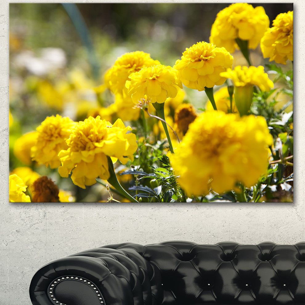 Bright Yellow Marigold Flowers, Floral Canvas Art Print, 40"x30"