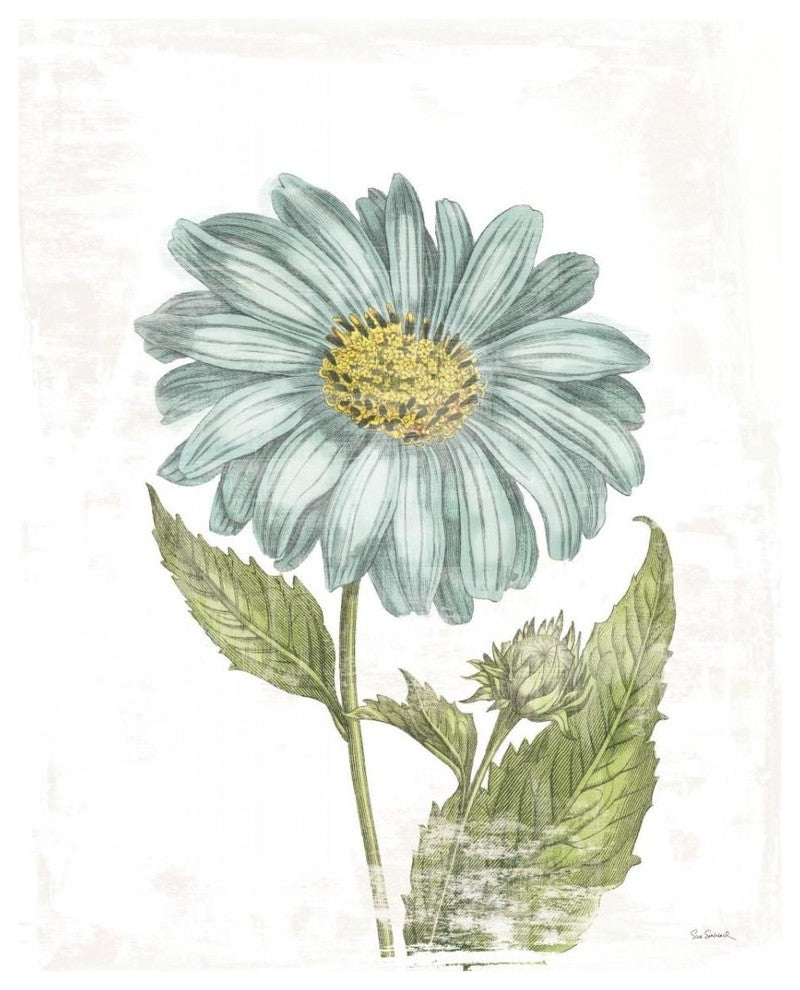 "Bloemen Boek II on White" Digital Paper Print by Sue Schlabach, 24"x30"